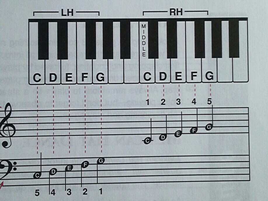 钢琴左手音符对照表图片