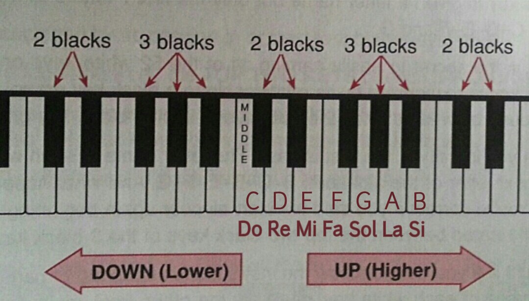 钢琴黑键符号表示图图片